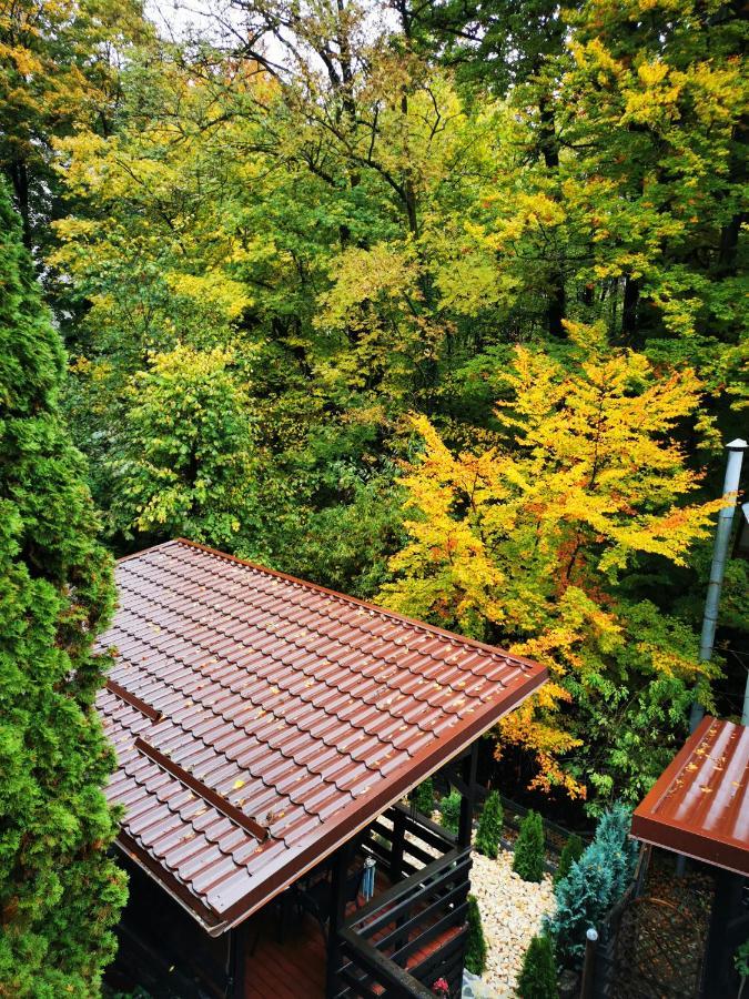 Hotel Casa Flandria Sinaia Exteriér fotografie