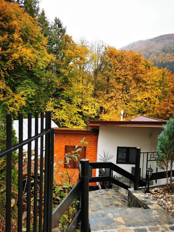 Hotel Casa Flandria Sinaia Exteriér fotografie