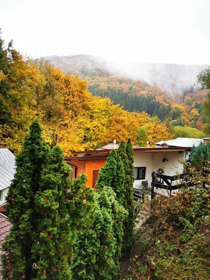 Hotel Casa Flandria Sinaia Exteriér fotografie