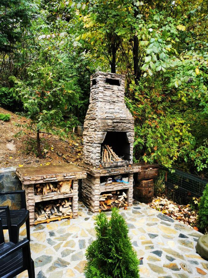 Hotel Casa Flandria Sinaia Exteriér fotografie