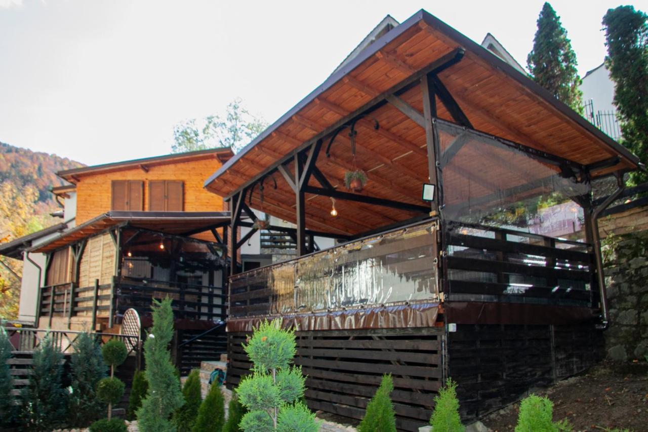 Hotel Casa Flandria Sinaia Exteriér fotografie