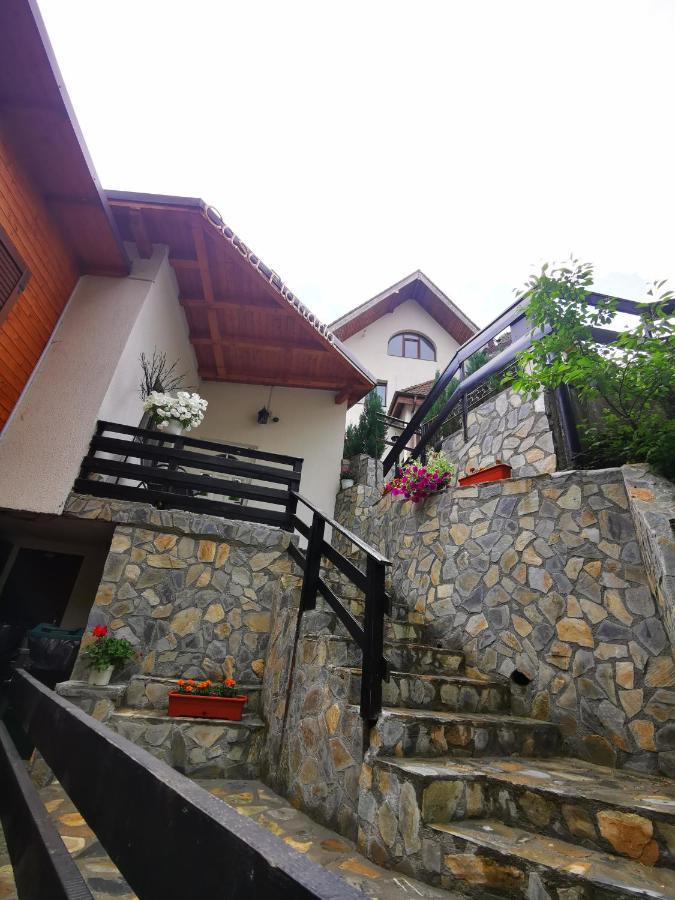 Hotel Casa Flandria Sinaia Exteriér fotografie