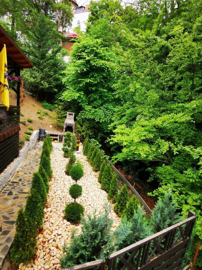 Hotel Casa Flandria Sinaia Exteriér fotografie