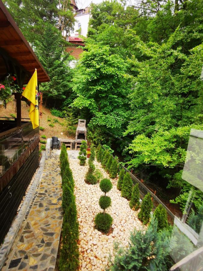 Hotel Casa Flandria Sinaia Exteriér fotografie