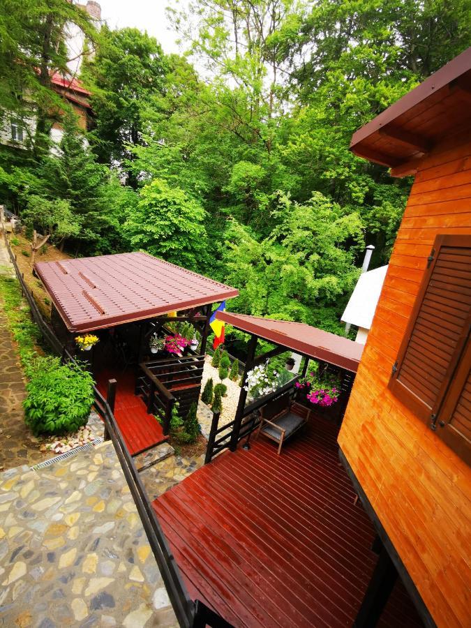 Hotel Casa Flandria Sinaia Exteriér fotografie